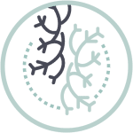 Plunes Centro Médico – Angiologia