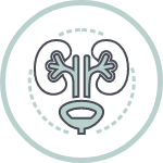 Urologia
